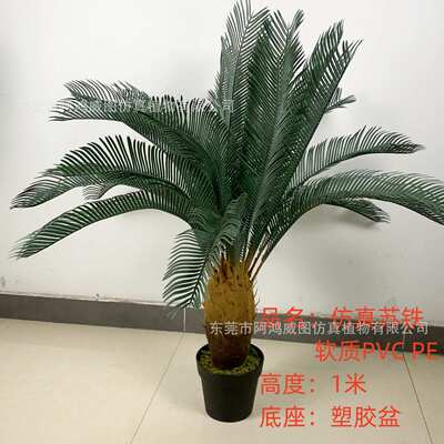 装饰商场仿真绿橱窗盆栽摆件造景铁树仿真屏植客厅迎苏铁点小景