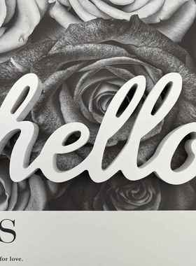 正品ns家居白e色微笑字母桌面i柜床头smil木质摆件