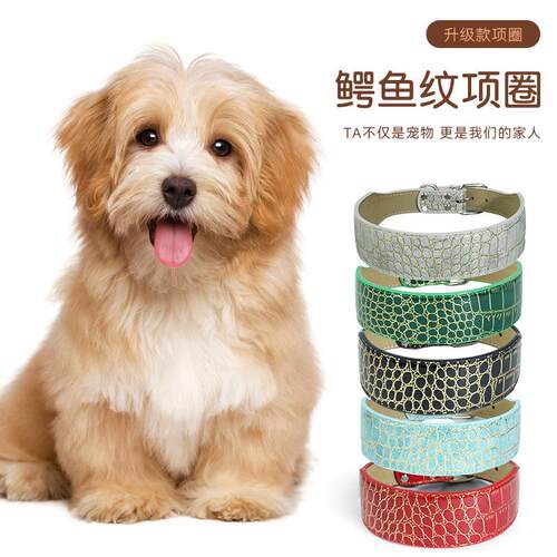 严选新款物狗狗鳄鱼纹项圈超纤狗狗狗脖套宠用品脖中大型狗圈