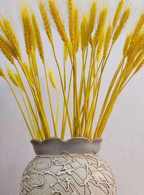 小麦干花原色小麦黄色小麦