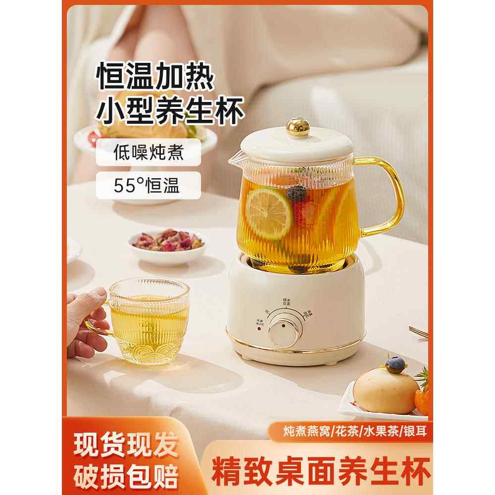 健康壶办公室小型迷你茶机家用多功能花茶迷你电炖杯1人牛奶加热
