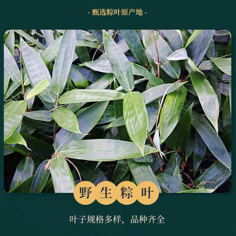 恩施厂家批发妻竹箬(粽)竹叶批发新鲜真空包装餐厅摆盘装饰粽子叶