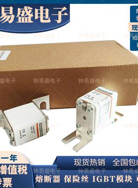 Mersen美尔森熔断器DN00UD10C63V X1065863 63A 1000V W1065862