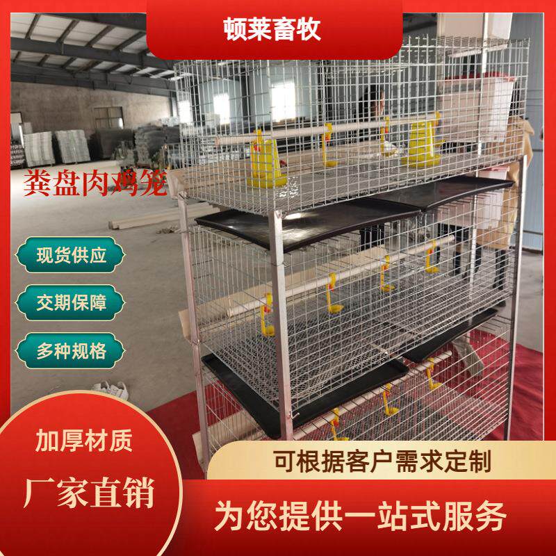 粪盘肉鸡笼半自动养殖设备H型肉鸡笼含粪盘塑料网育鸡用厂家直销