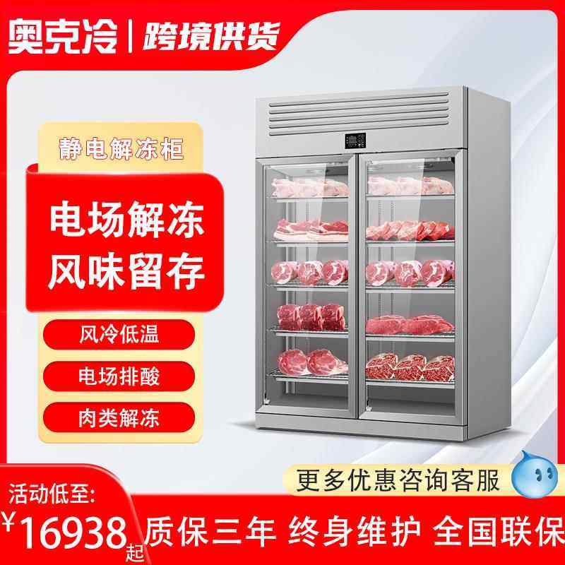 解冻柜商用高压静电低温高湿冷藏缓化和牛抑菌化冻机排酸柜