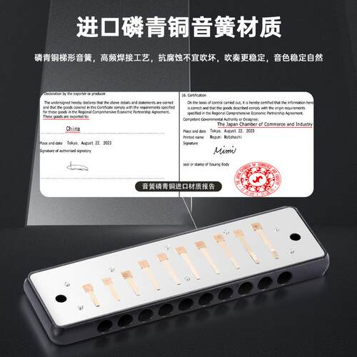 FPRVEIFAN十孔PADD专Y调业演奏级布鲁斯口琴10入孔初学者练习门推