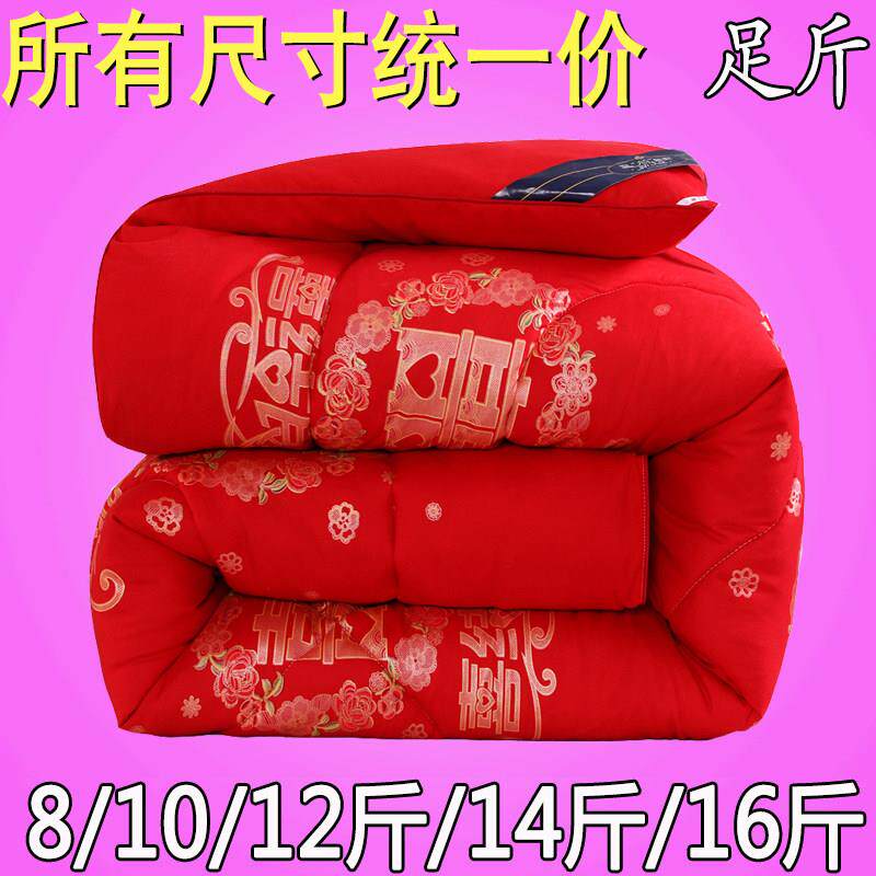 冬被加厚保暖水洗棉被子芯2.0/1.8X2.2X2.4米床羽丝10/12/14/16斤