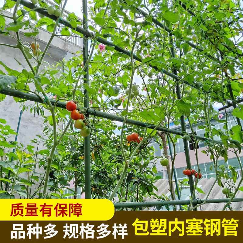 工厂园艺包塑钢管番茄植物支架爬藤花架包塑藤蔓支架黄瓜爬藤