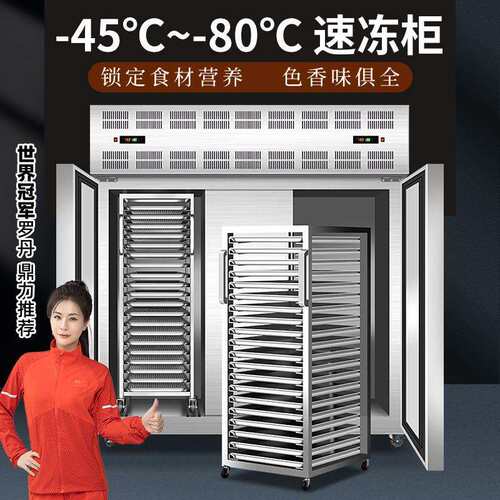 雪狐-45度速冻柜商用急冻超低温插盘式速冻机海鲜包子食品设备