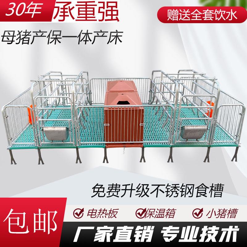 双体母猪产床猪用热镀锌两用产保一体产床老母猪单体保育一体产床
