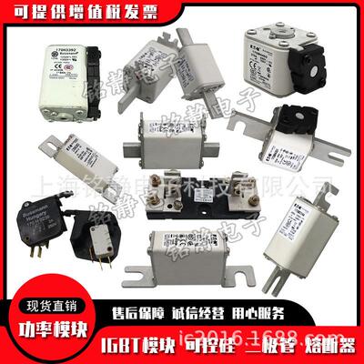 170M3519 170M3520 170M3521 170M3522 170M3523巴斯曼熔断器
