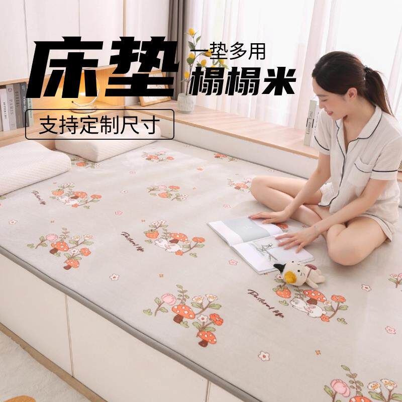 懒人榻榻米地垫定制尺寸踏踏米床垫火炕专用炕垫农村土炕床垫褥子