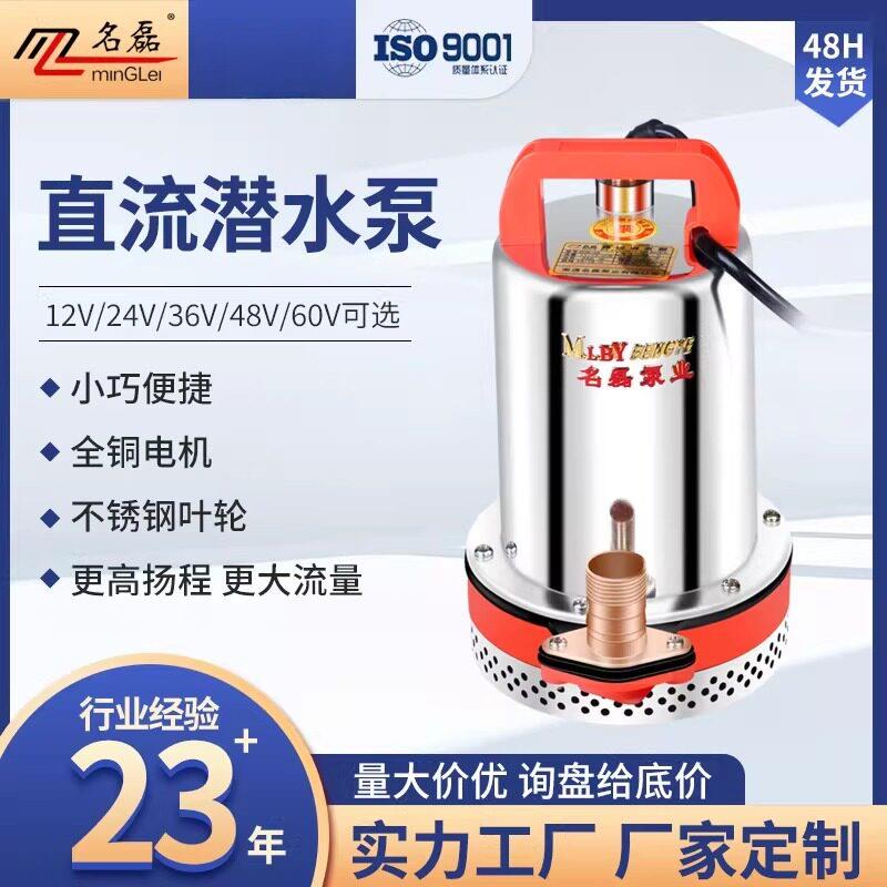 电动车抽水泵电瓶小型抽水机直流潜水泵12v24v48V60V伏家用农田