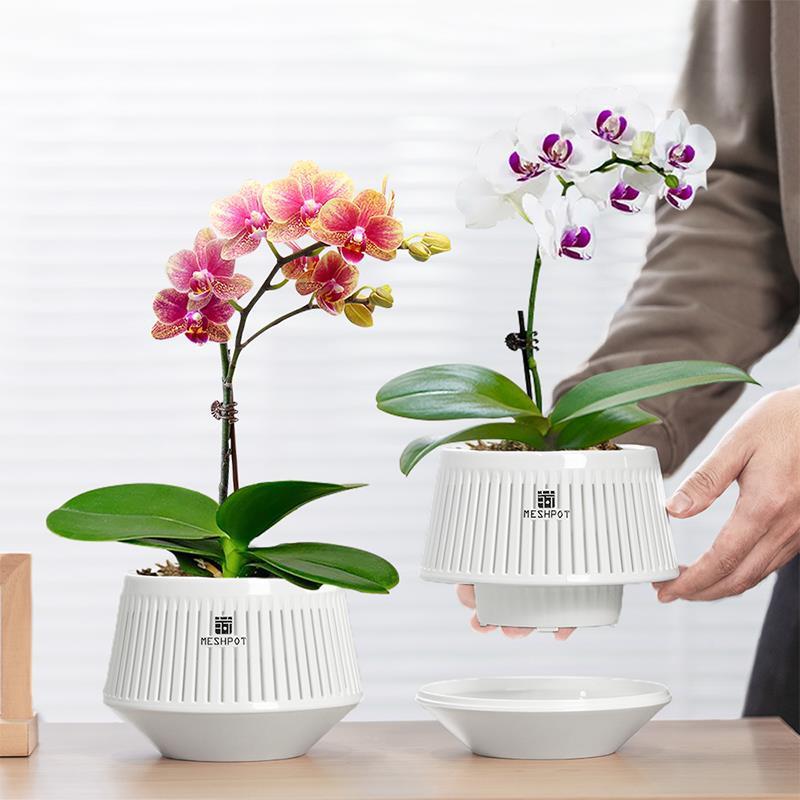 蝴蝶兰花盆2025新款控根透气轻奢感双层套盆塑料 水培 家用盆子