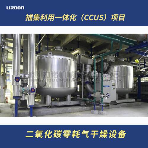 LIROON/力诺尾气干燥器二氧化碳烟道气废气吸附脱水设备