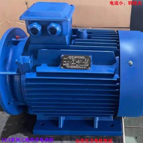 山东厂家直供YE3-180L-4/22WYE3系列三相异步电动机质量保障