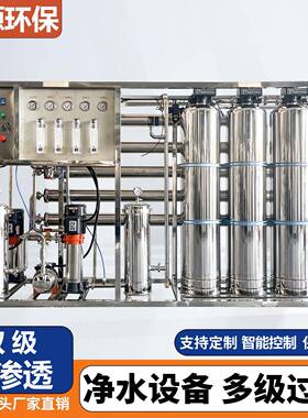 双级反渗透设备RO水处理商用大流量二级去离子水超纯水EDI设备