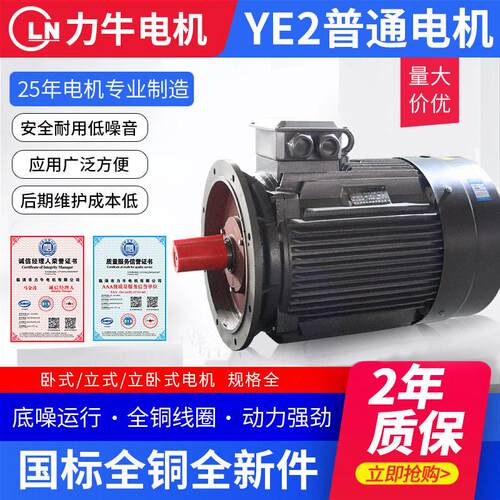 三相异步电动机厂家268级YE2立式卧式普通电机铝壳电机型号全
