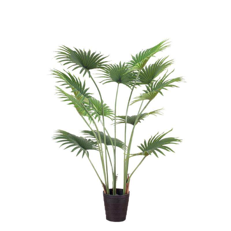 仿真绿植圆叶蒲葵树室内落地大植物盆栽家居商铺服装店装饰