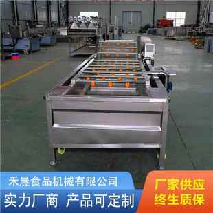 商用果蔬女气清机洗圣果泡桑葚洗果机辣白菜 酸632青菜洗菜机