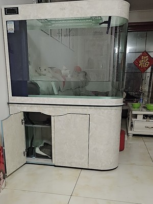 德国德克**头鱼缸怎么样用后告诉大家实情