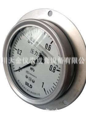 重庆布莱迪仪器仪表有限公司YTN-100HZT不锈钢耐震压力表M20*1.5