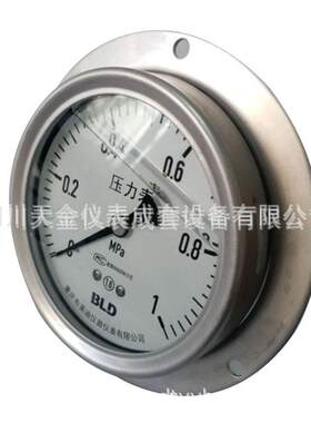 重庆布莱迪仪器仪表有限公司YTN-100HZT不锈钢耐震压力表M20*1.5