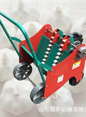 家用两植行种蒜机大蒜种机电动播手推大蒜种机大RK85466蒜点播机