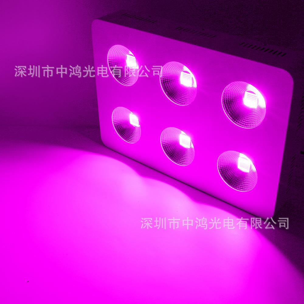 温室大棚种植室内植物补光全光谱1800W COB LED植物生长灯