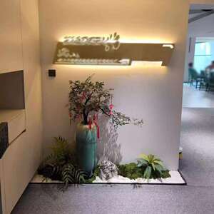 公司办公室门口角落入户造景落地新中式摆件景观室内假山石头绿植