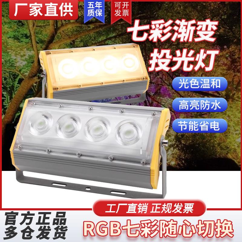 亚明户外彩色射灯led七彩变光舞台墙体照树灯草坪单色聚光投光灯
