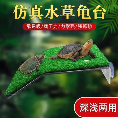 Turtle basking platform, grass turf, climbing ramp, reptile