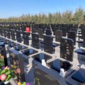 中国山西黑陵园公墓石碑定做刻字花岗岩高档大花岗岩组合墓碑定制