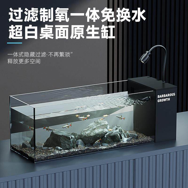 鱼缸小型客厅过滤制氧All免换水桌面迷你造景生态全套溪流缸