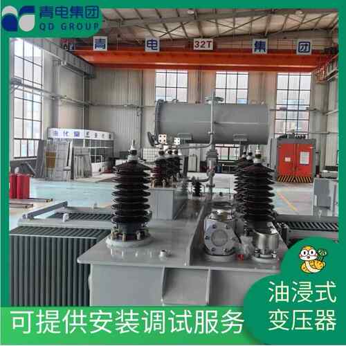青电变压器厂 S13-M-400 500 630KVA油浸式变压器S20、S22系列