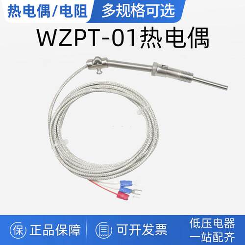 压簧式热电阻热电偶Pt100温控仪探头温度传感器WZPT-01测温线智能