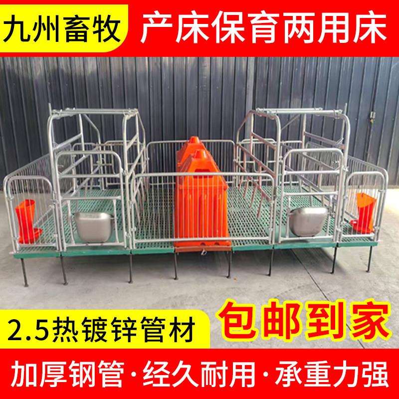双体母猪产床全复合单双体分娩床产保一体两用保育床猪场养殖设备