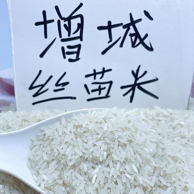 广东挂荔增城一级丝苗米农家米2024年新米猫牙米5kg长米5斤装大米