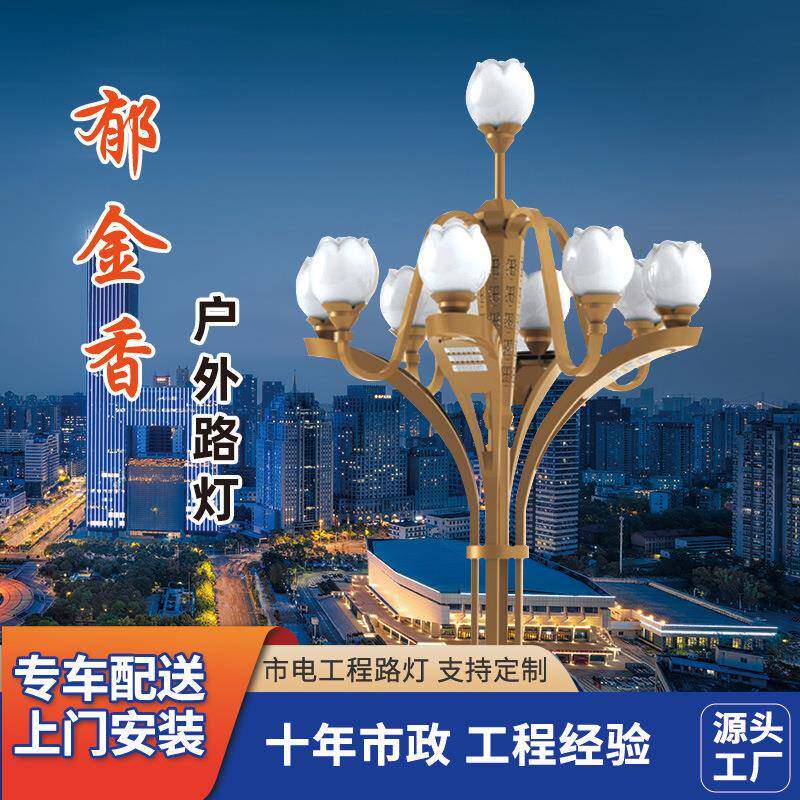 公园广场郁金香路灯工程10米12米高杆厂家庭院led灯高亮度户外