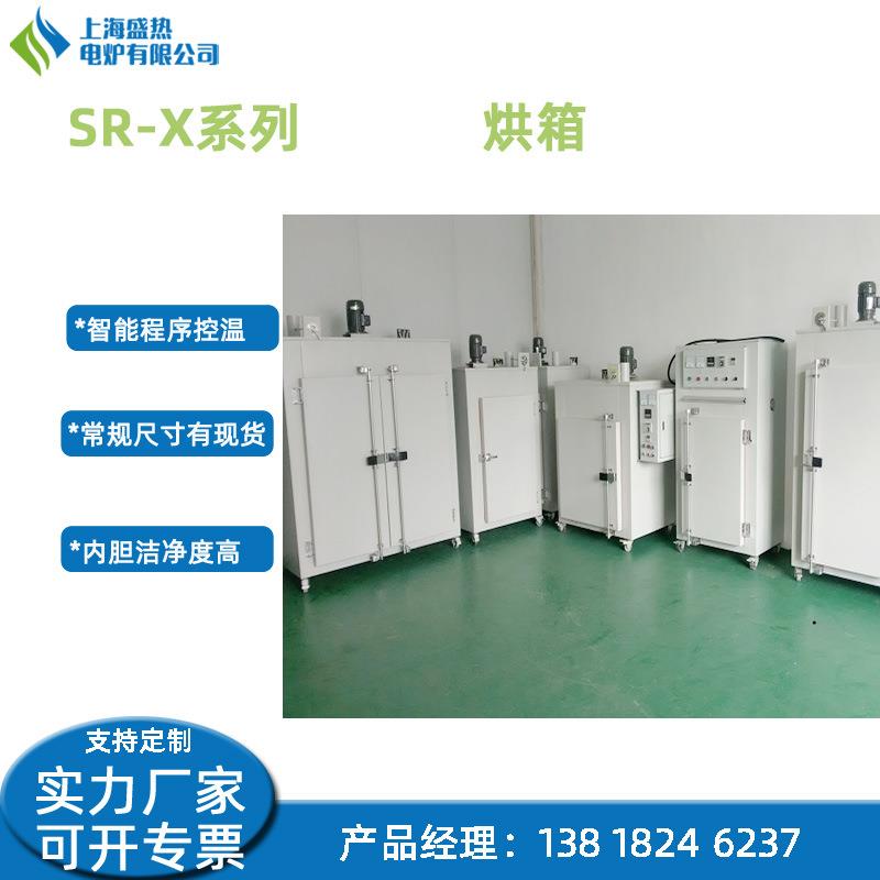 烤箱烘箱不锈钢炉膛药品蔬菜磨具烘烤程序控温电加热智能恒温