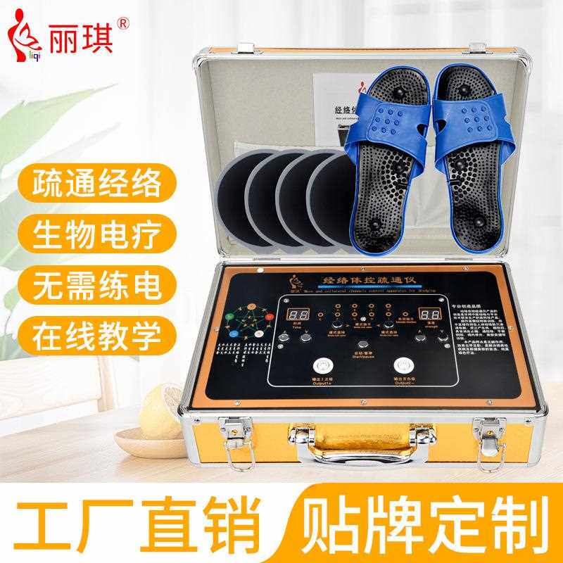 新款直销家用经络疏通美容养生电疗仪能量仪电刮痧dds生物电按摩