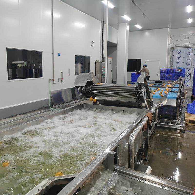 芒果清洗设备杨梅超声波清洗机气泡芭乐304不锈钢源头厂家