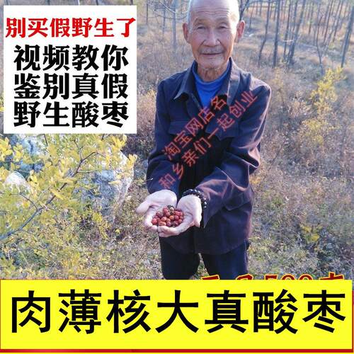 新疆包邮山东野生酸枣小酸枣小山枣小红枣粒泡水酸枣仁茶酸枣核50