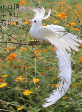 白色婚庆道具家居摆件凤凰鸟长尾鸟羽毛鸟装饰工艺品摄影羽毛工艺