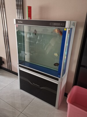 讲讲看森森鱼缸怎么样评测有如何优缺点？