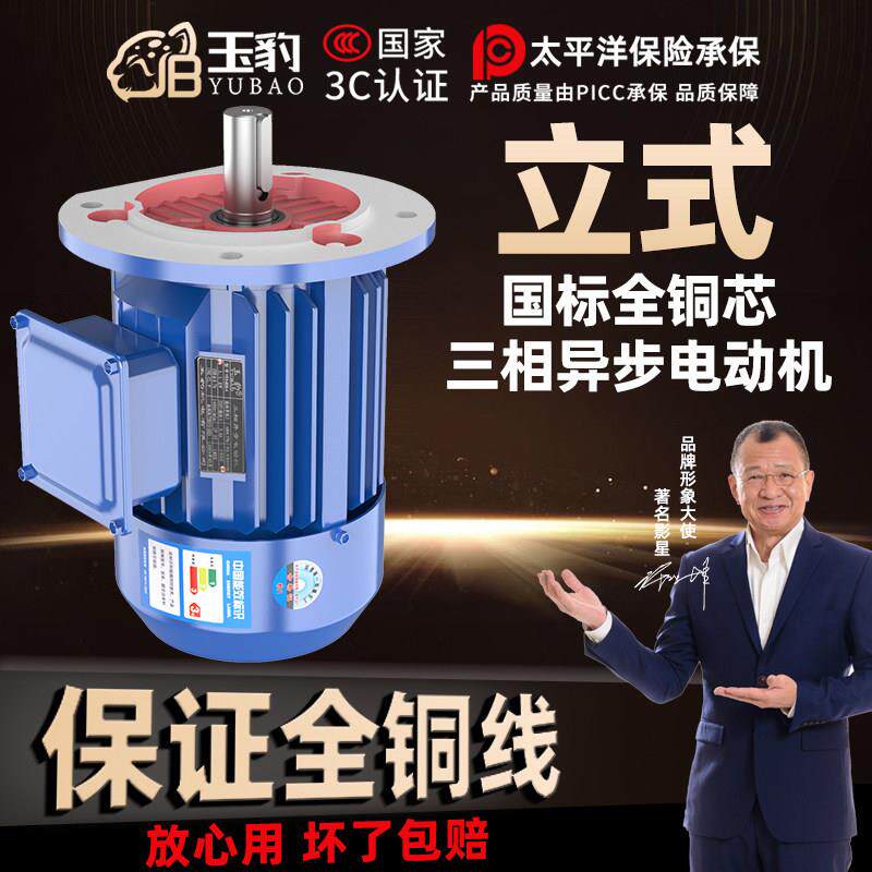 立式全铜三相异步马达0.75/1.1/1.5/2.2/3/4/5.5KW电机380V三相
