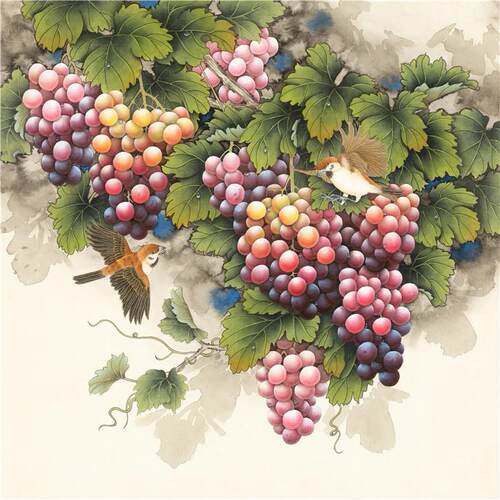 四尺斗方 国画 精品花鸟【葡萄6】未装裱 印刷品装饰画（T）