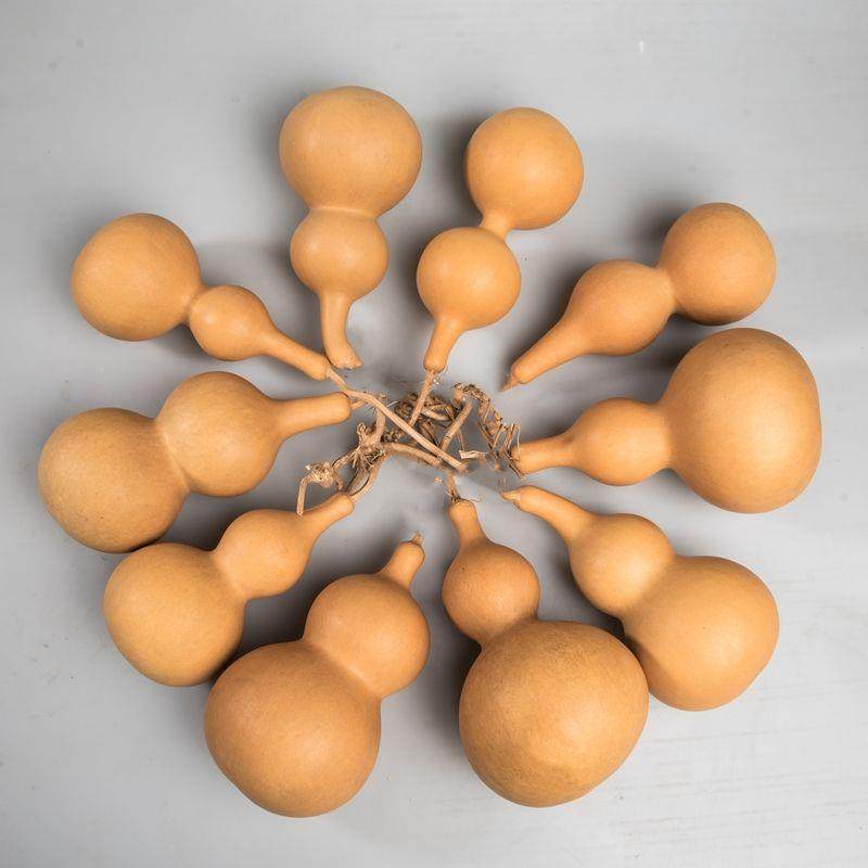 天然真小葫芦挂件悬吊式天花板装饰烙画 画练手工艺术品木开 口胡