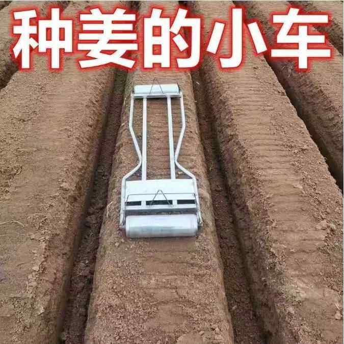 种姜小车新型种姜神器种大姜种植滑板车姜种运输车农具坐着种姜登,农机/农具/农膜,其它农用工具,淘宝优惠券,粉丝福利购,淘宝优惠卷