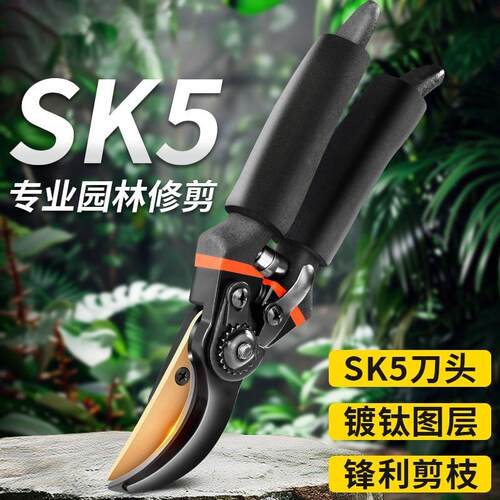 修枝剪SK5钢专业园林果树粗枝剪刀正品家用树枝剪强力修枝剪刀